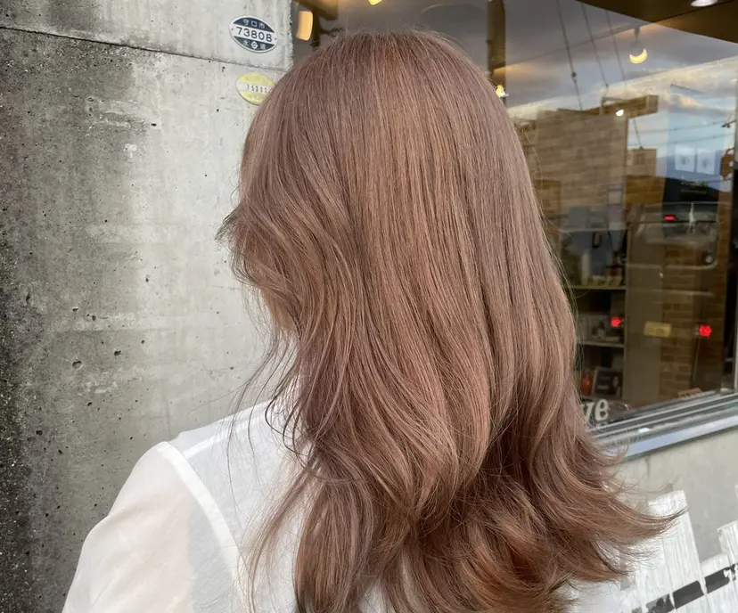 シモダ クルミの掲載