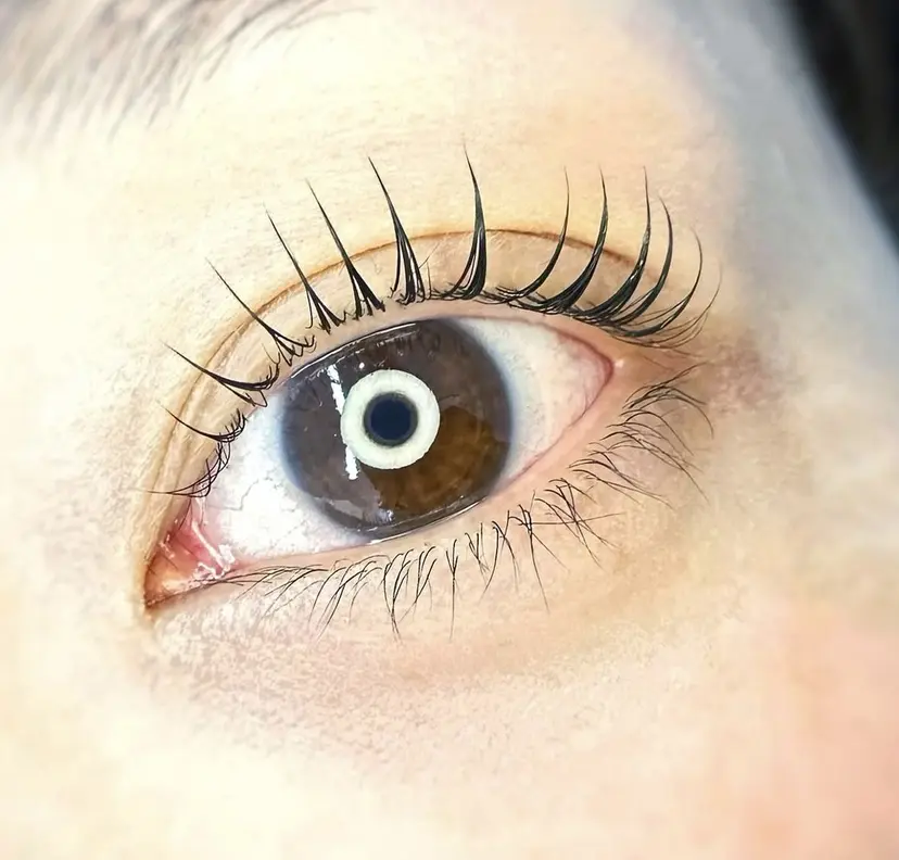 proof arisaの掲載