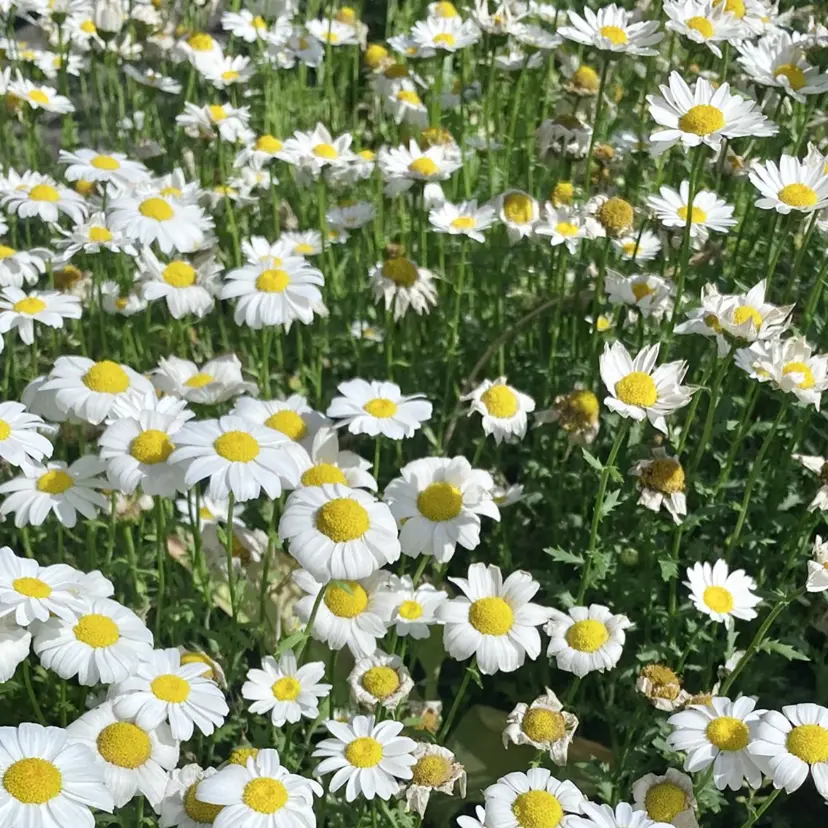 Hikari/薬院 /モデル募集中の掲載