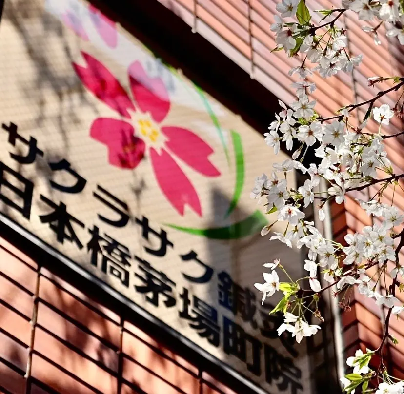 🌸サクラサク鍼灸 Tsunoの掲載