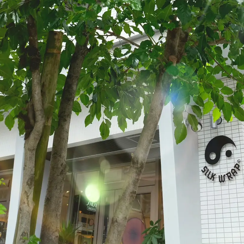 SILKWRAP HANAの掲載