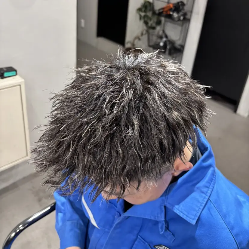 加納 摩人の掲載