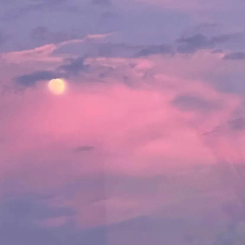 多田 明希の掲載