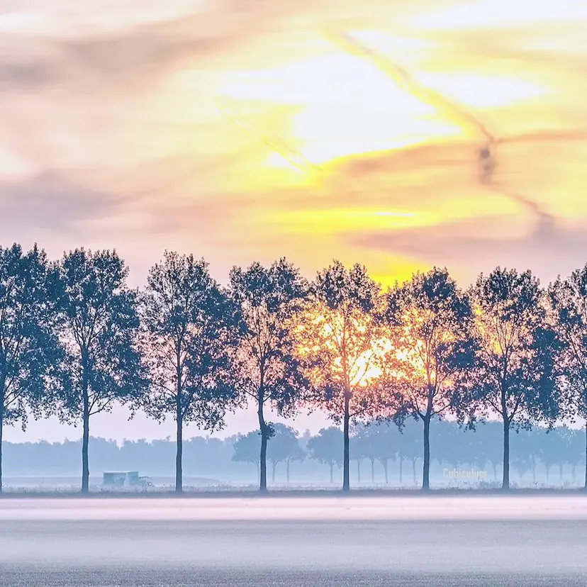 ヤノ ナオミの掲載