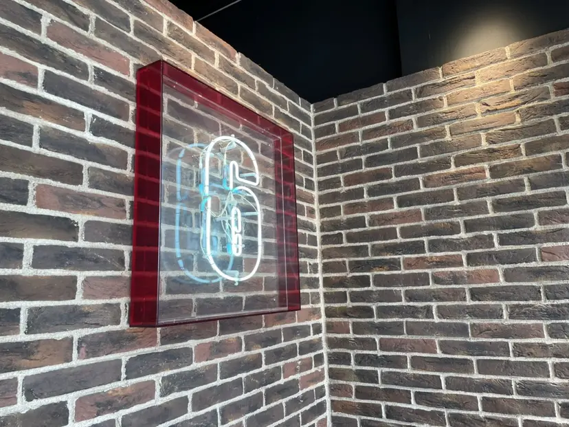 🌸照井 奈保子🌸の掲載