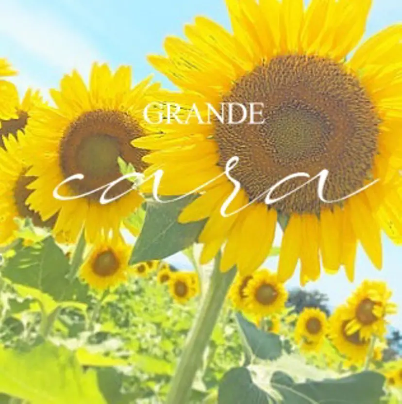 GRANDEcara 栄 Miki🍀の掲載
