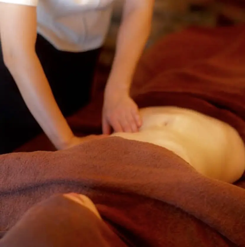 温活×デトックス 発酵野草蒸しの掲載