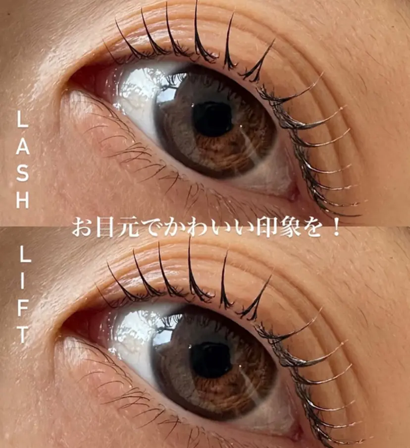 D-Lotus yuzuの掲載