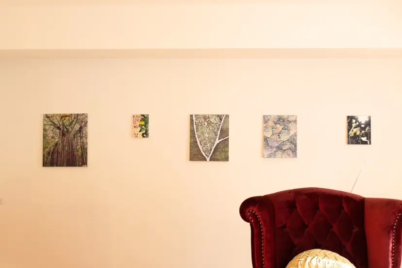 中坪 日香理の掲載