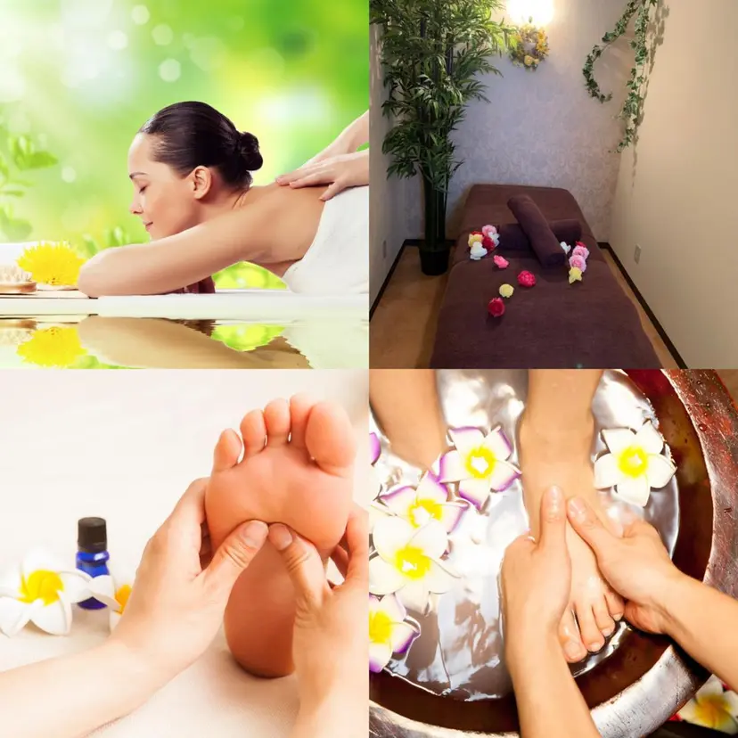 7高橋 恵子の掲載