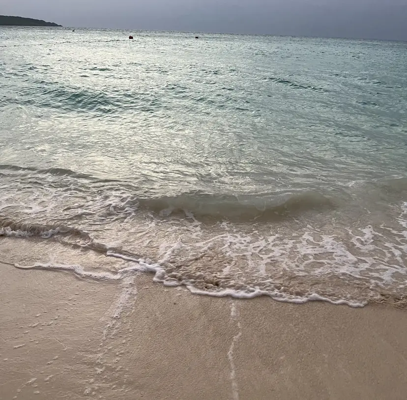 宮古 有佳の掲載