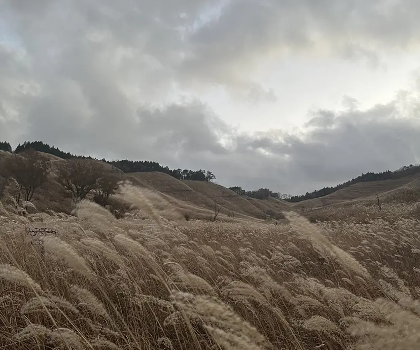 LORAN 寺田の掲載