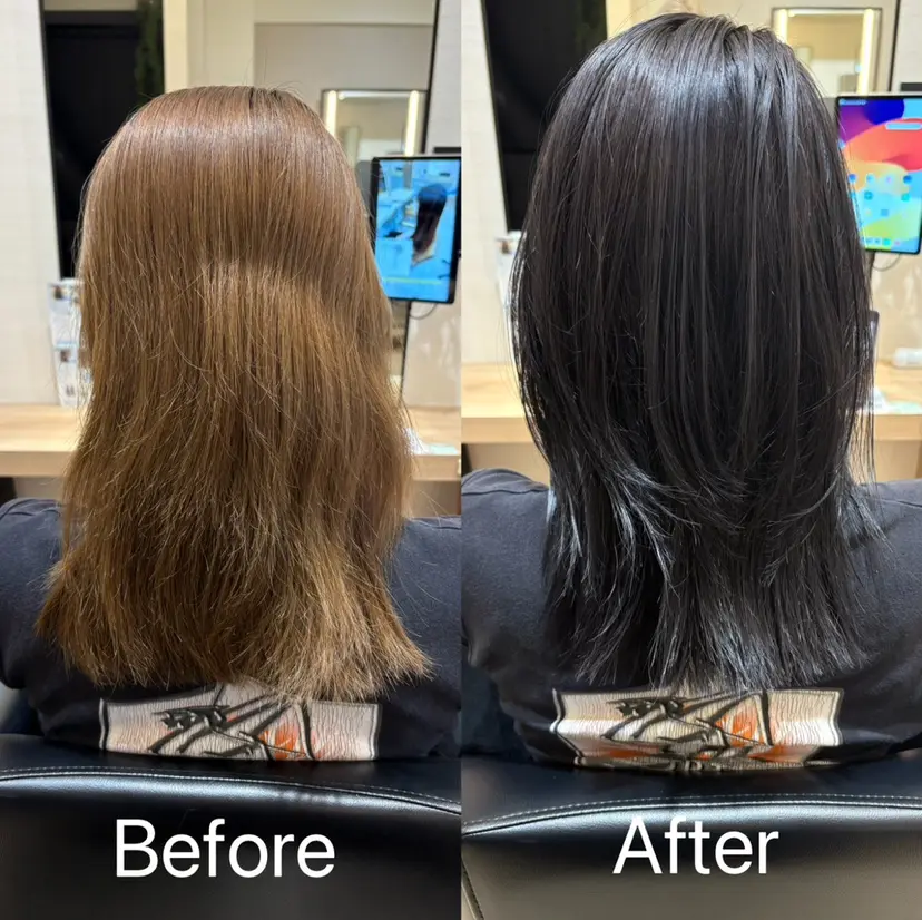 ❄️ゆき ❄️の掲載