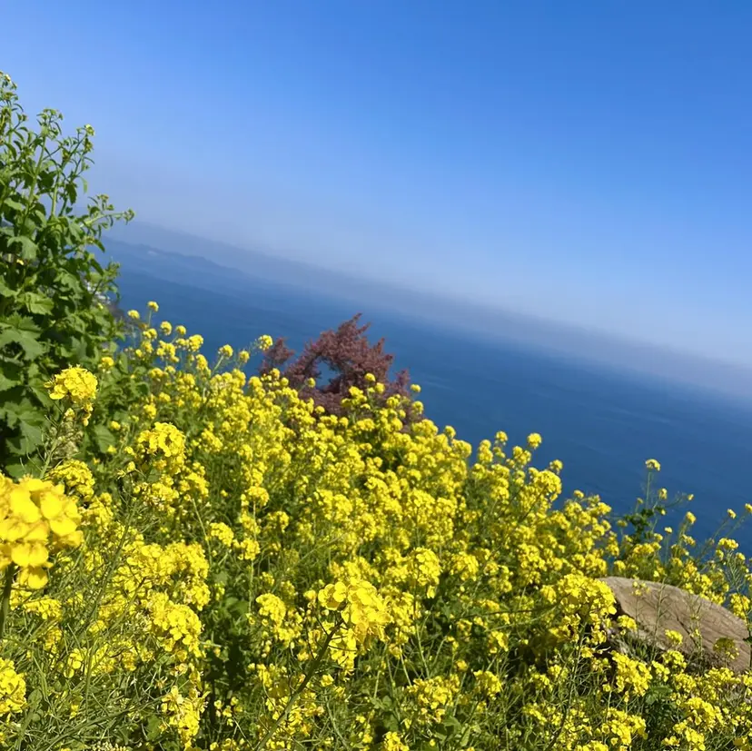 黒川 結希の掲載