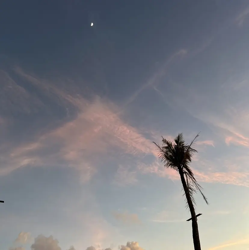 miki🫧 渋谷耳ツボジュエリーの掲載