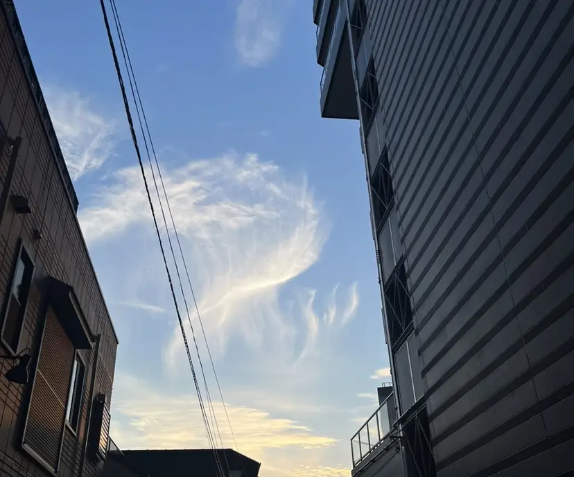 ボブ/カットモデル えのもとりき🏄の掲載