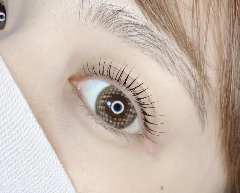 TaeyeLash 加藤の掲載