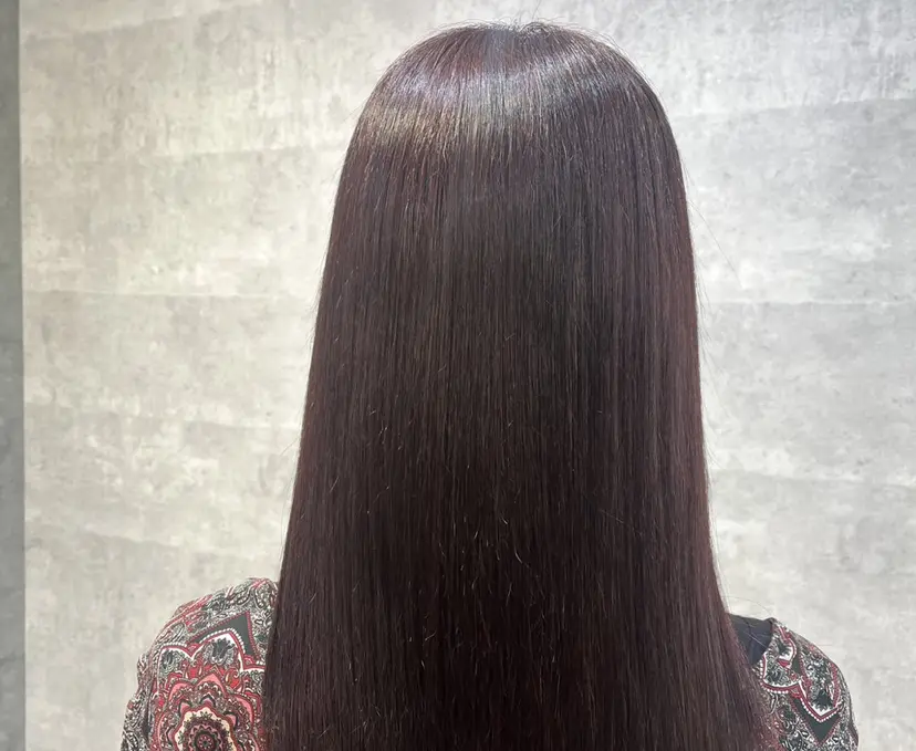 中園 紫音の掲載