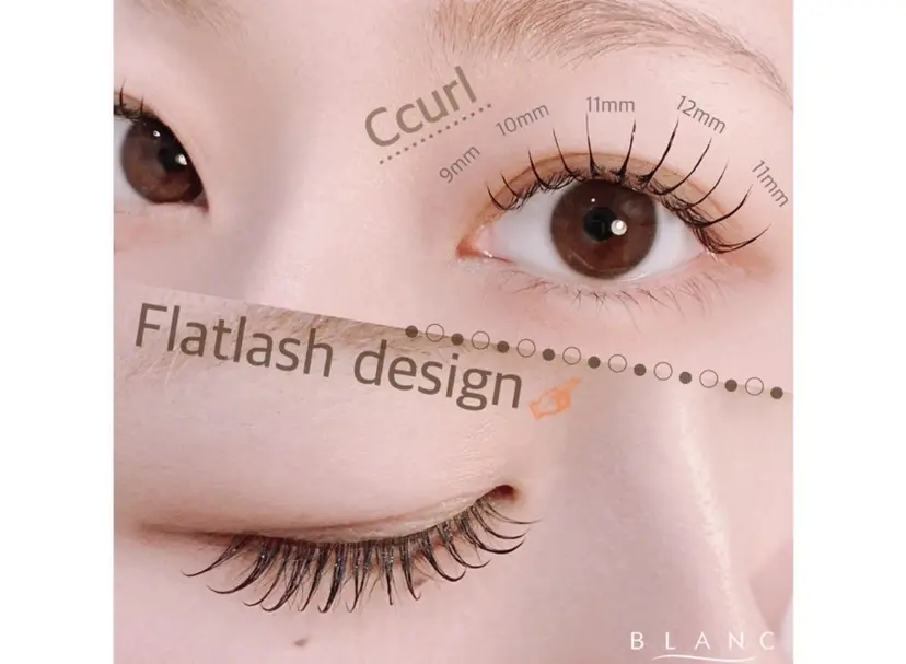 佐々木 梨乃の掲載