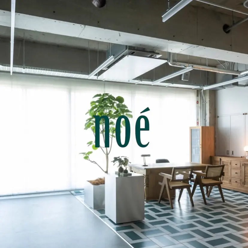 MAO /透明感カラーの掲載