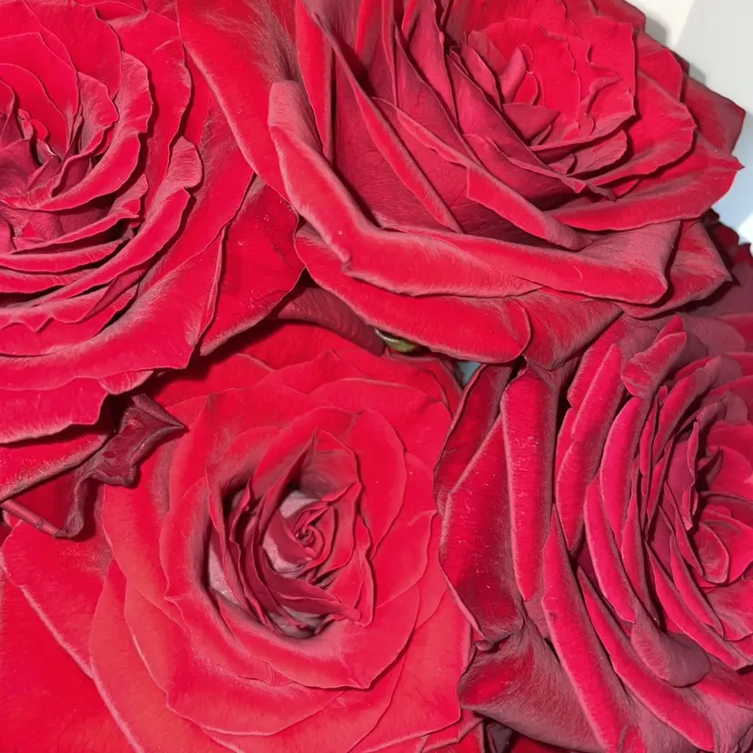 STITCH 光佑の掲載