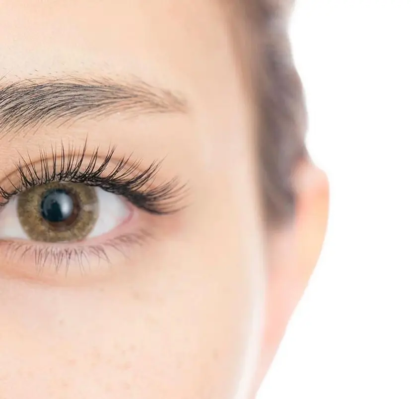 Oshima Shizukaの掲載