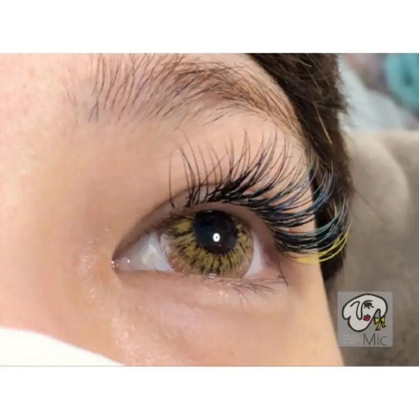 Mic お試しメニューの掲載