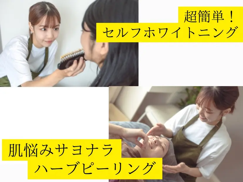 藤井 ののみの掲載