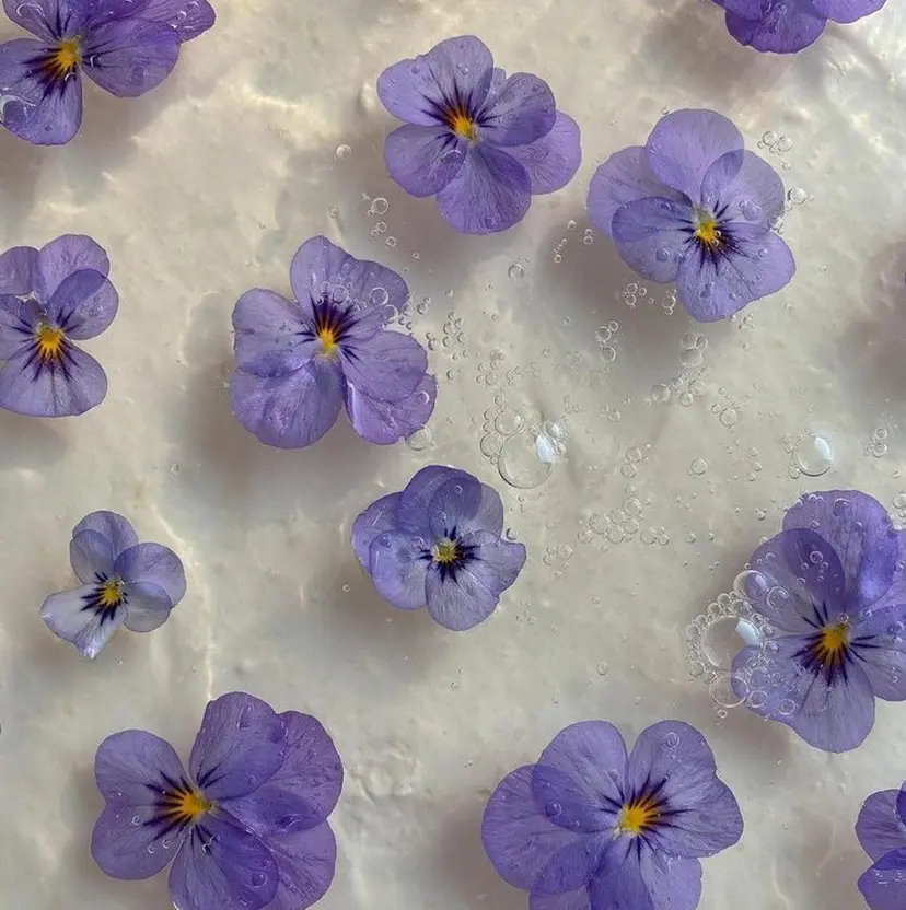 Takahashi kurumi🦋の掲載