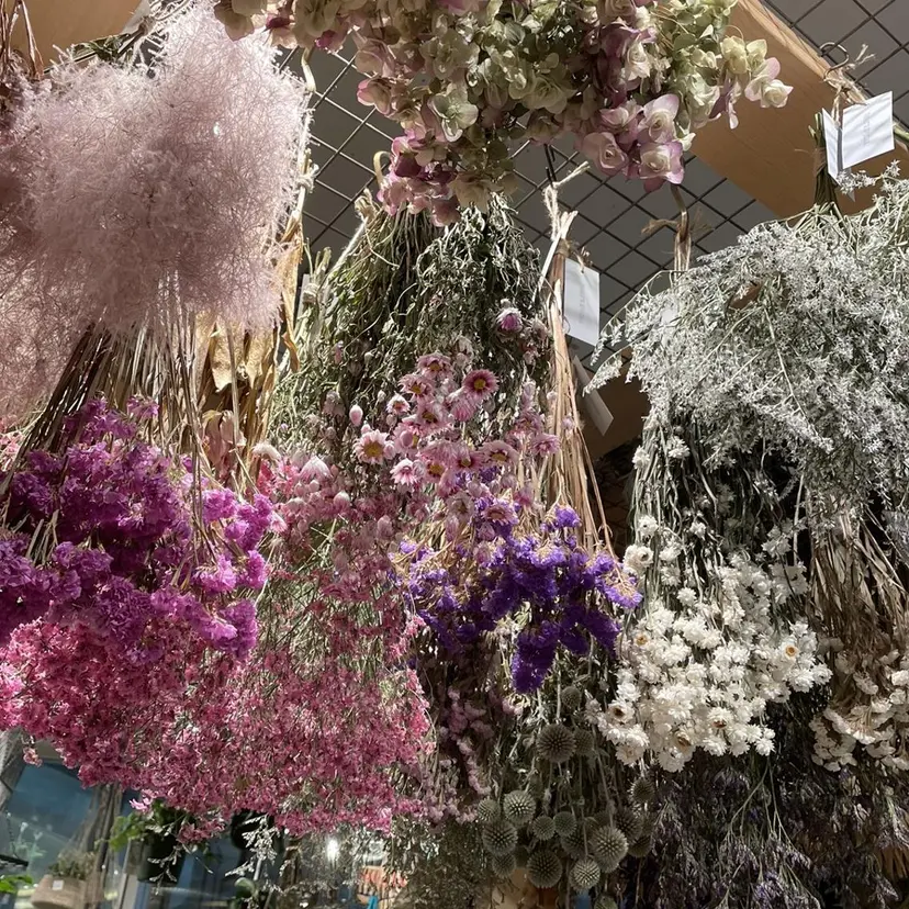 MAQUIA相模原店 植田の掲載