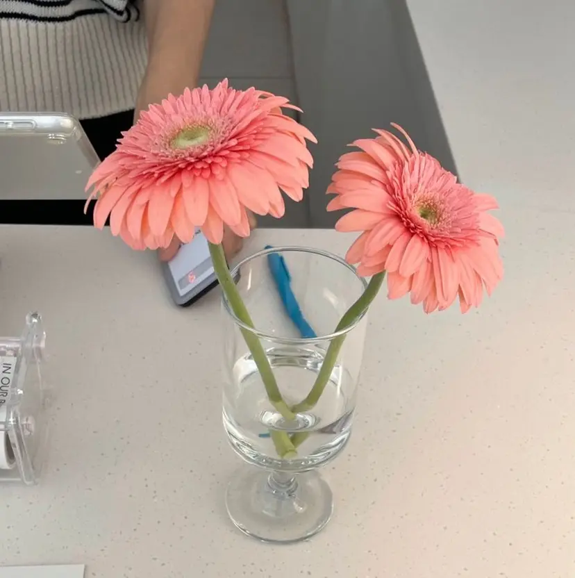 TSUYAMEKI masudaの掲載