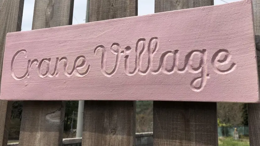 ＩＭＡＩ ＨＩＲＯＫＯの掲載