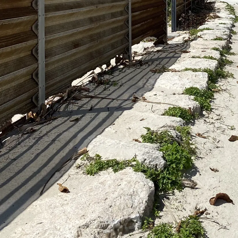 Luxe nihongiの掲載