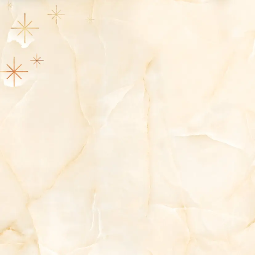 PETALE ペタルの掲載