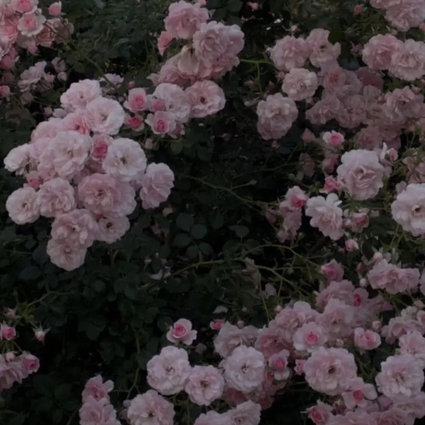 mark♡ Yuiの掲載