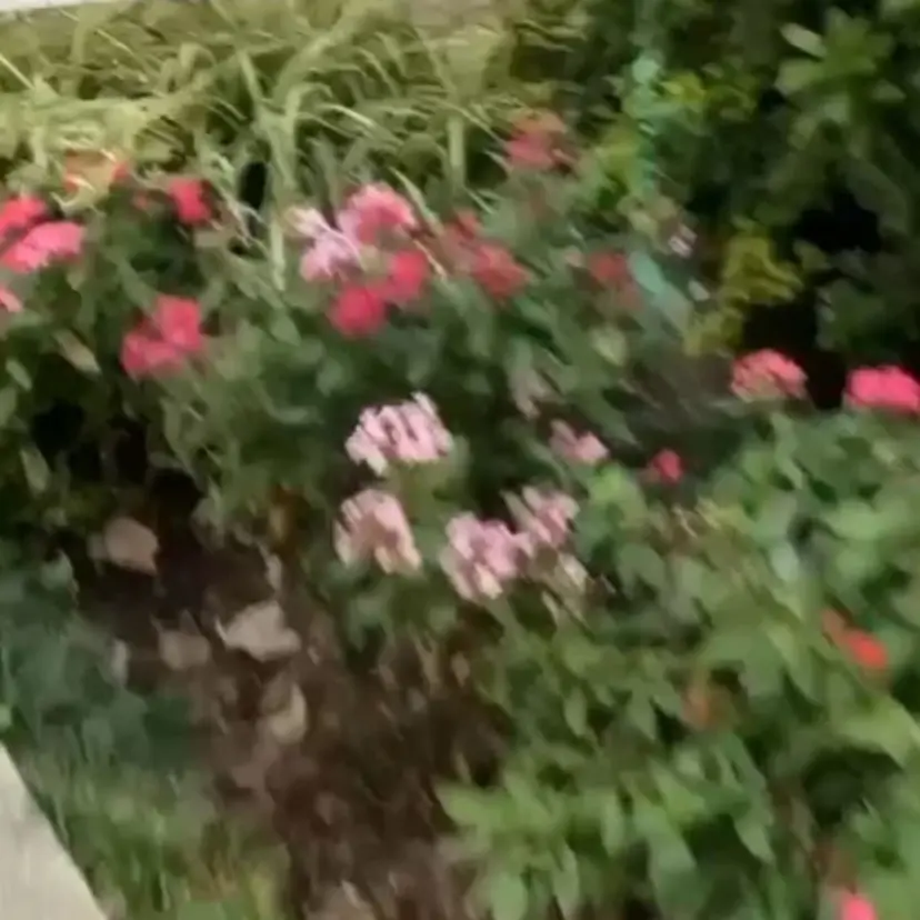 MAQUIA神栖店 小熊🧸⸝ 𖤐の掲載