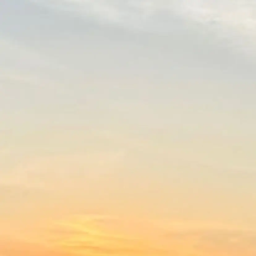 LeeHorie MIUの掲載