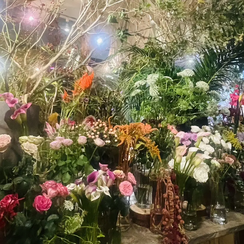 MAXKELLY Meiの掲載