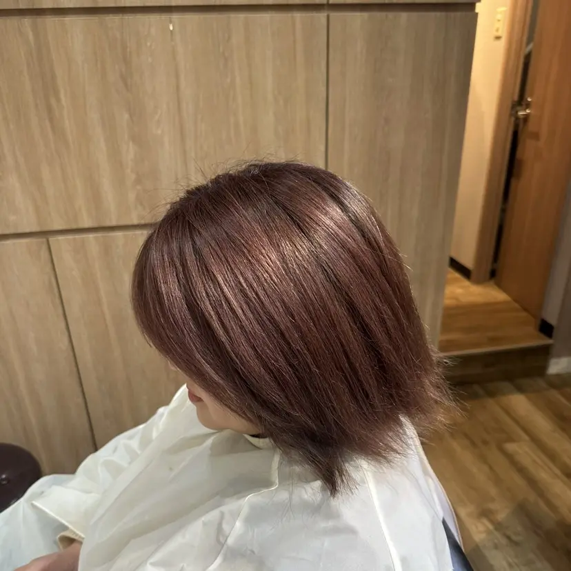 片村 猛琉の掲載