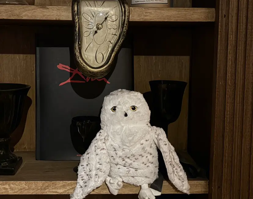 fukuma hikariの掲載