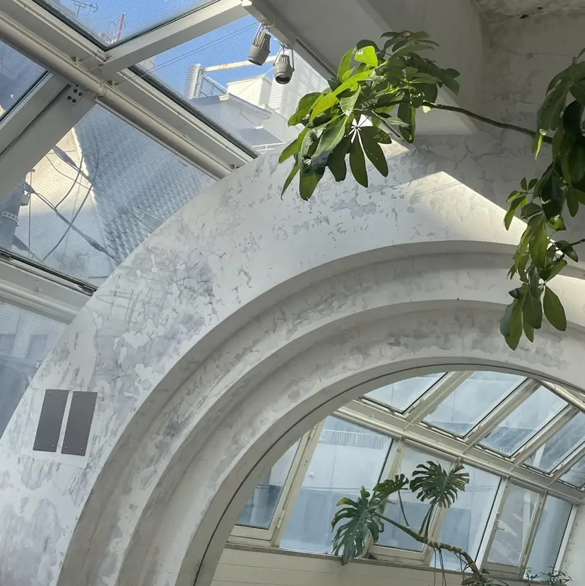 ᴡᴀᴋᴀɴᴀ ♡の掲載