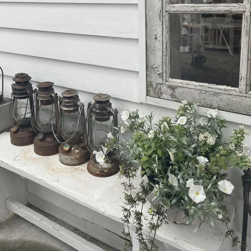 萩原 萌子の掲載