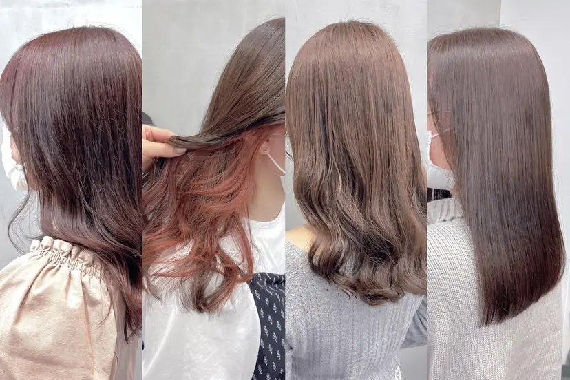 マブチ キサラの掲載