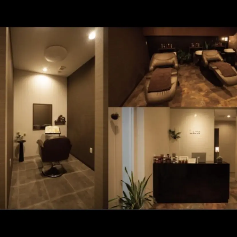 橋爪 智哉の掲載