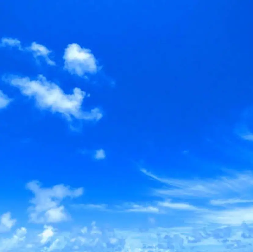 マッシュウルフ ボブ Hirotoの掲載