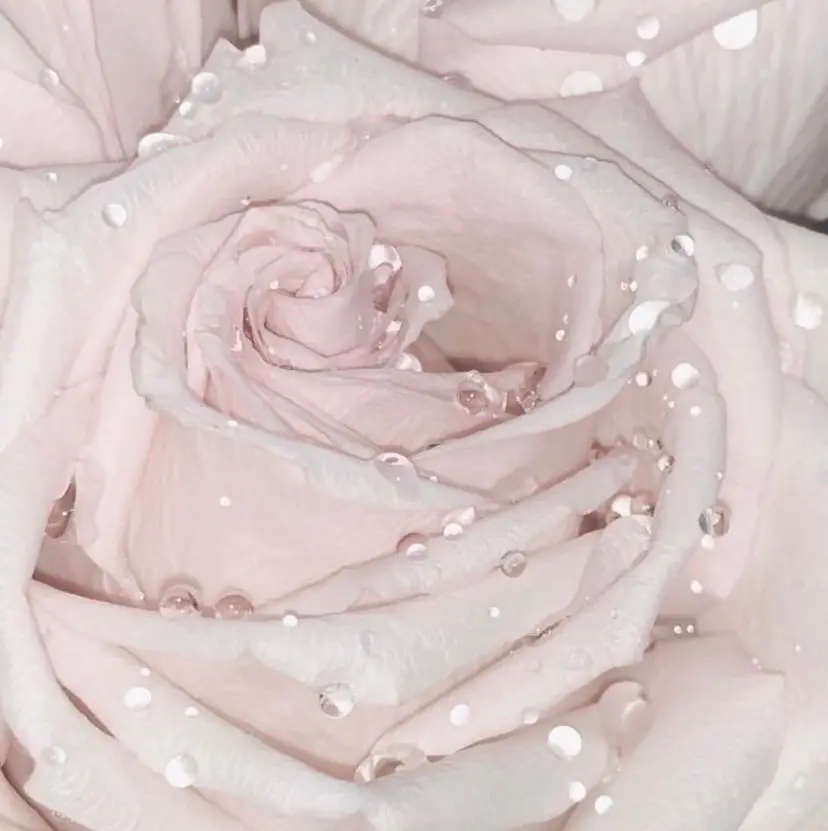 mizuho🐈‍⬛ 艶髪￤ダークトーンの掲載