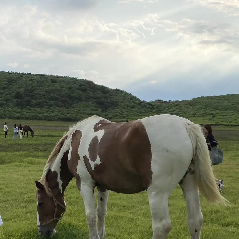 坂 美来乃の掲載