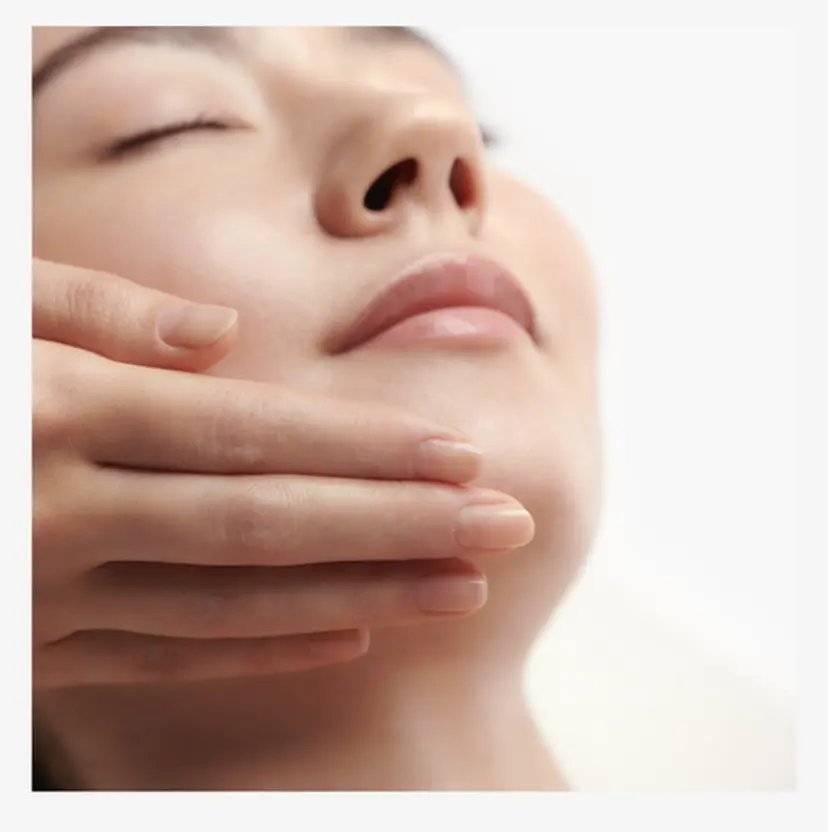 藤本 けいこの掲載