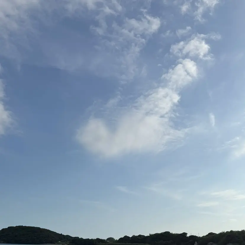 小嶋 煌陽の掲載