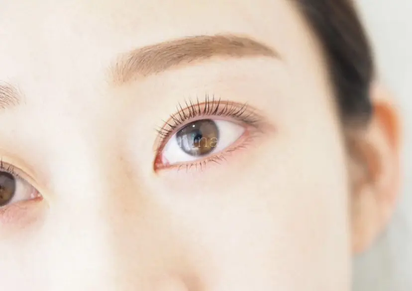 nina所属 平原の掲載